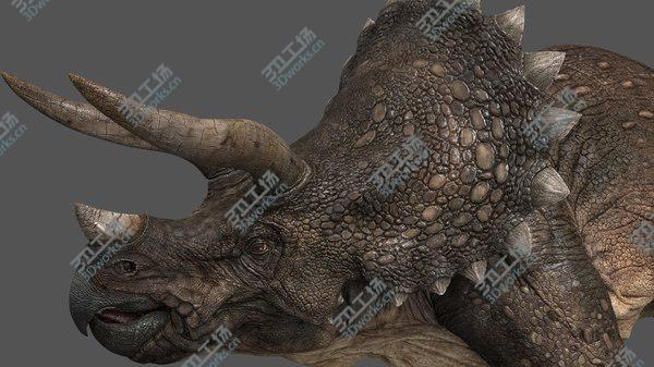 images/goods_img/20210312/Triceratops animations 3D model/1.jpg